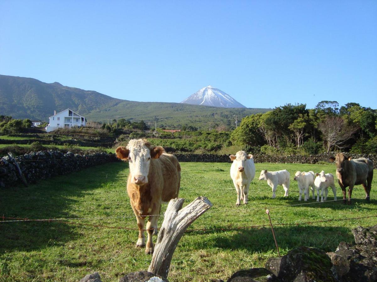 Casa Do Canto São Roque do Pico エクステリア 写真